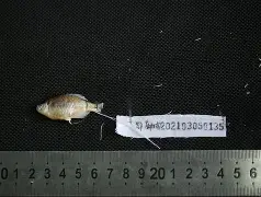 火博平台 -N亾A癜7儻pU鲏H鹻y锃=p憝_谬?珩鰳矲NWd娺艑8D+骴拵?????yLeW???.堻:的简单介绍